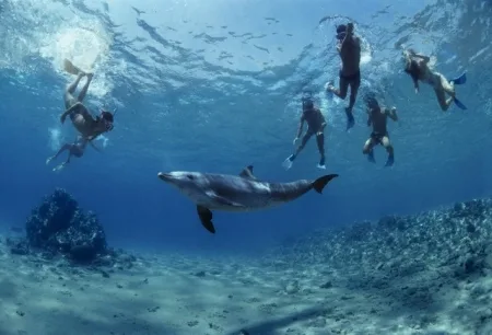 Tour Immersione Sharm El Naga Bay 